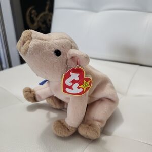 Ty "Knuckles" the Pig